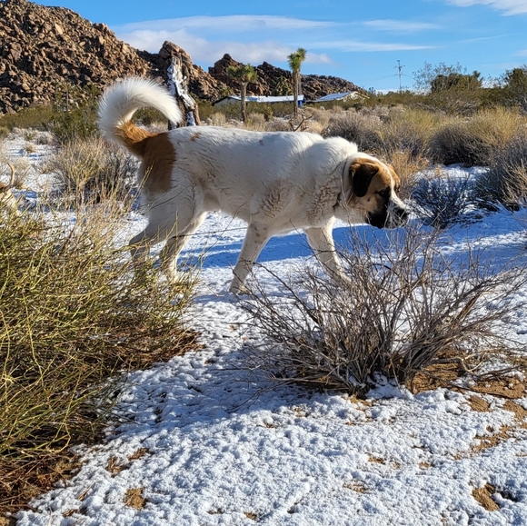 Meet your Posher, Wilder Brook - Picture 2 of 2